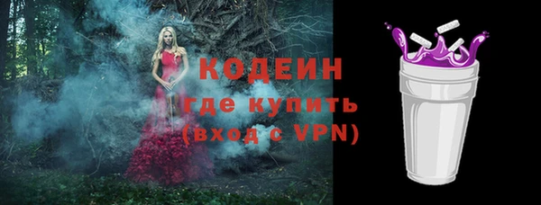 хмурый Богородицк