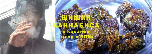 хмурый Богородицк