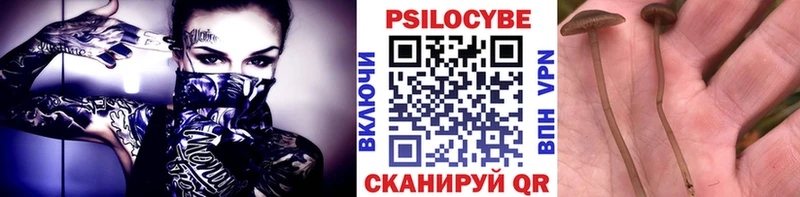 Купить где  Ставрополь  Галлюциногенные грибы ЛСД 