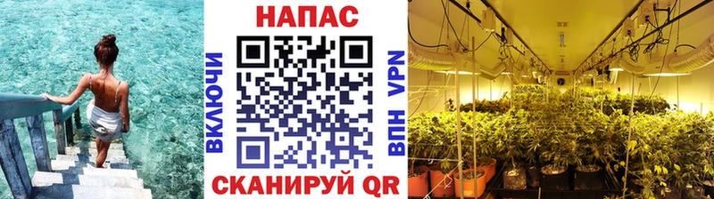 МАРИХУАНА Ganja  Купить закладки  Ставрополь 